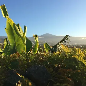 finca-la-plantacion-agroturismo.in-canary-islands.com/
